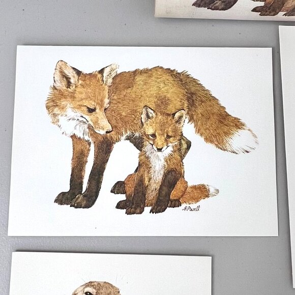 Vintage 1980's Current American Wildlife Ecology Set of 5 Blank Note Cards - Picture 5 of 9